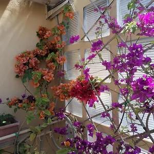 Bed & Breakfast Claudia, Roma